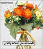 اضغط على الصورة لعرض أكبر. 

الإسم:	1655_01242031473.jpg 
مشاهدات:	649 
الحجم:	17.6 كيلوبايت 
الهوية:	1936
