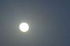 اضغط على الصورة لعرض أكبر. 

الإسم:	CSC_0646.JPG 
مشاهدات:	1167 
الحجم:	82.3 كيلوبايت 
الهوية:	2703