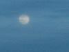 اضغط على الصورة لعرض أكبر. 

الإسم:	DSCF7082.jpg 
مشاهدات:	694 
الحجم:	79.1 كيلوبايت 
الهوية:	5314